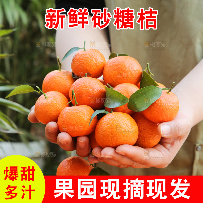 手里拿着沙糖橘