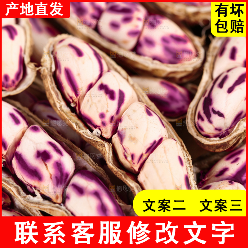 浅底上的七彩花生