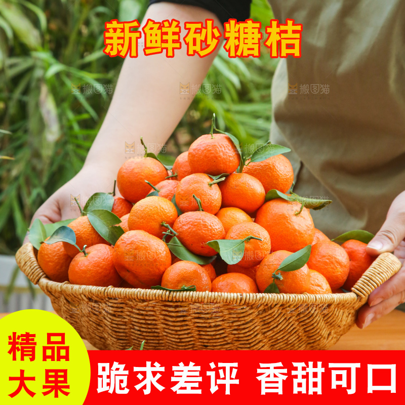 手里拿着沙糖橘