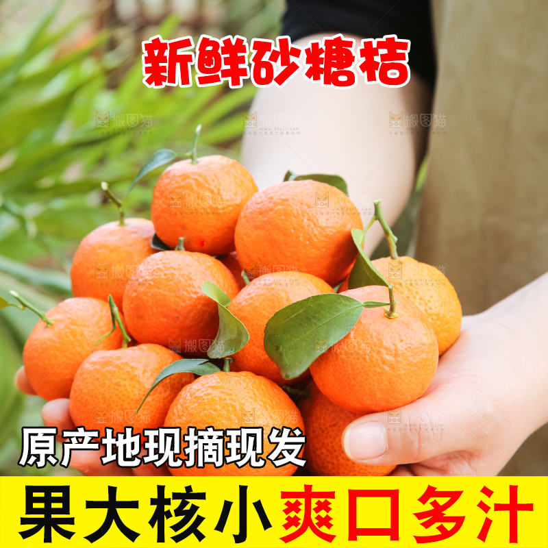 手里拿着沙糖橘