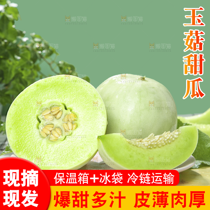 浅底上的玉菇甜瓜