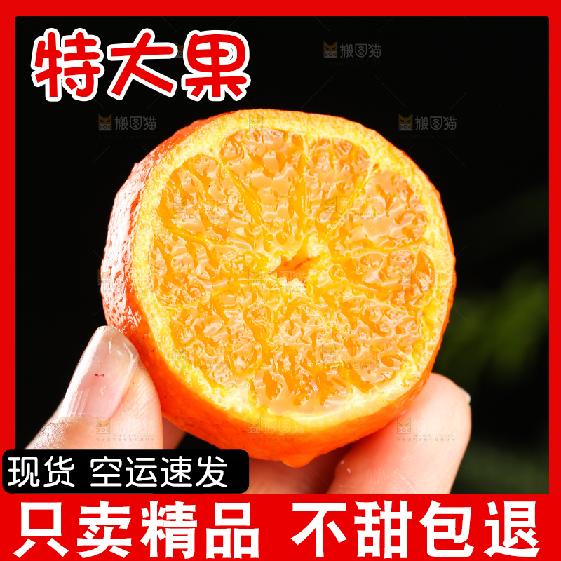 深底上的砂糖桔