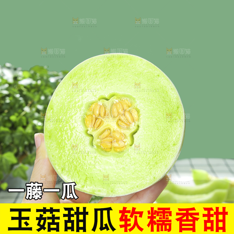 玉菇甜瓜主图