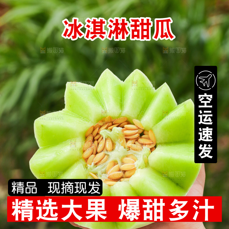 手里拿着玉菇甜瓜