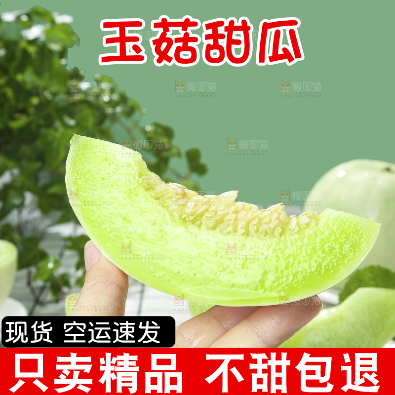 玉菇甜瓜主图
