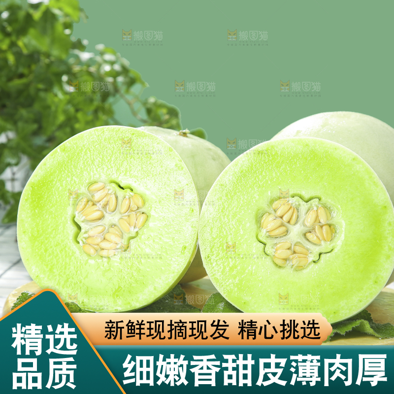 浅底上的玉菇甜瓜