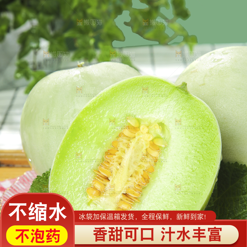 浅底上的玉菇甜瓜