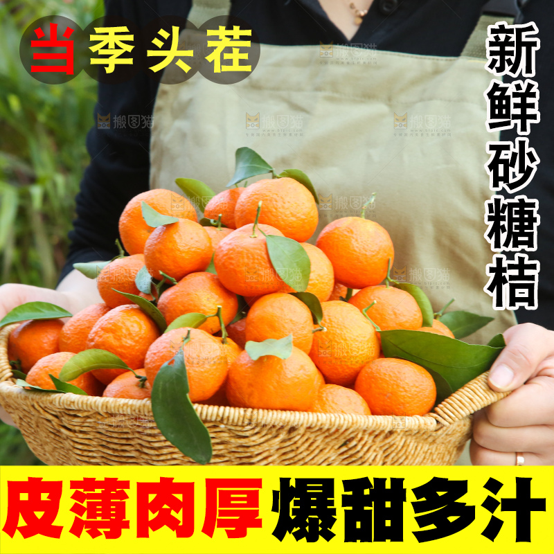 手里拿着沙糖橘