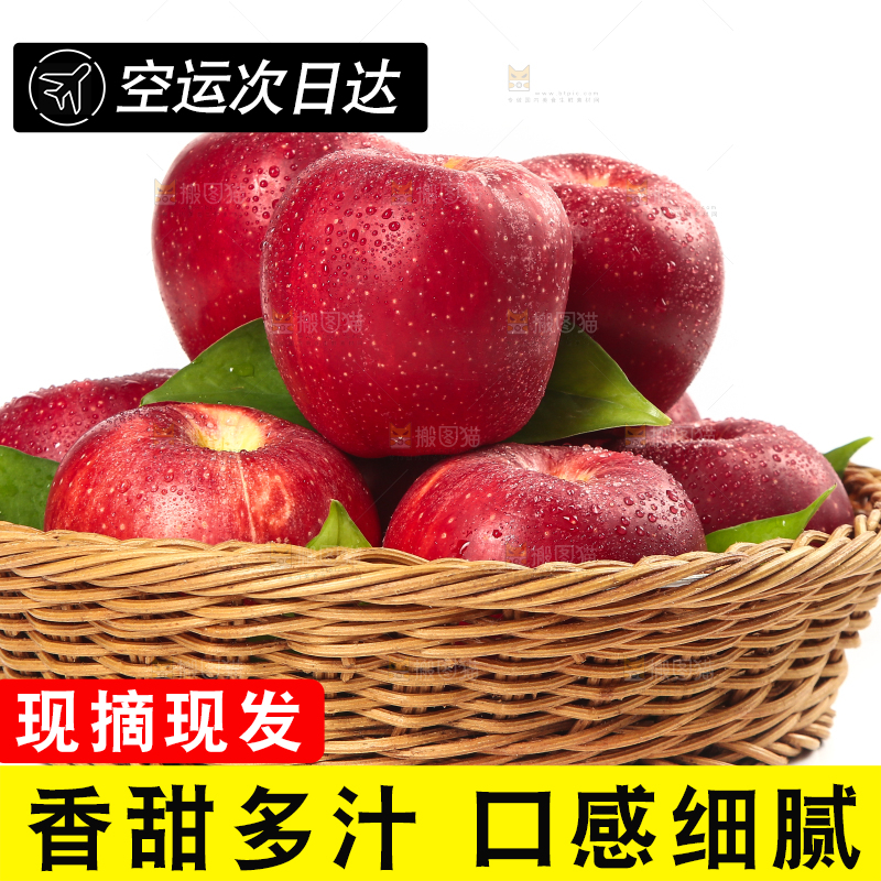 白底上的秦冠苹果