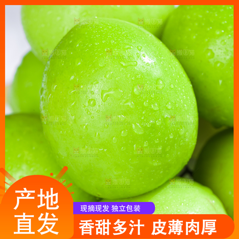 浅底上的贵妃枣