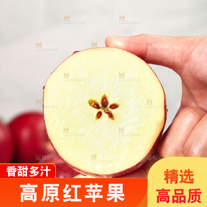 浅底上的秦冠苹果