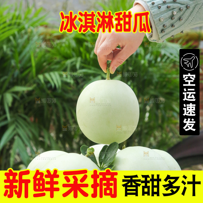 手里拿着玉菇甜瓜