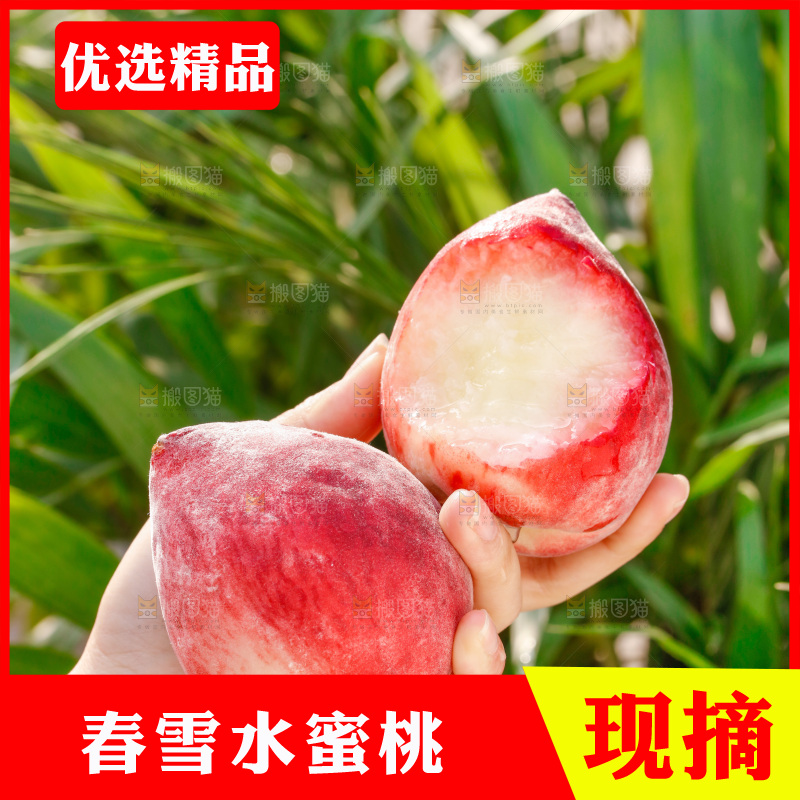 手里拿着春雪水蜜桃