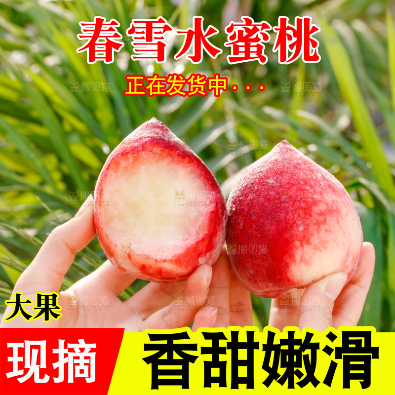 手里拿着春雪水蜜桃