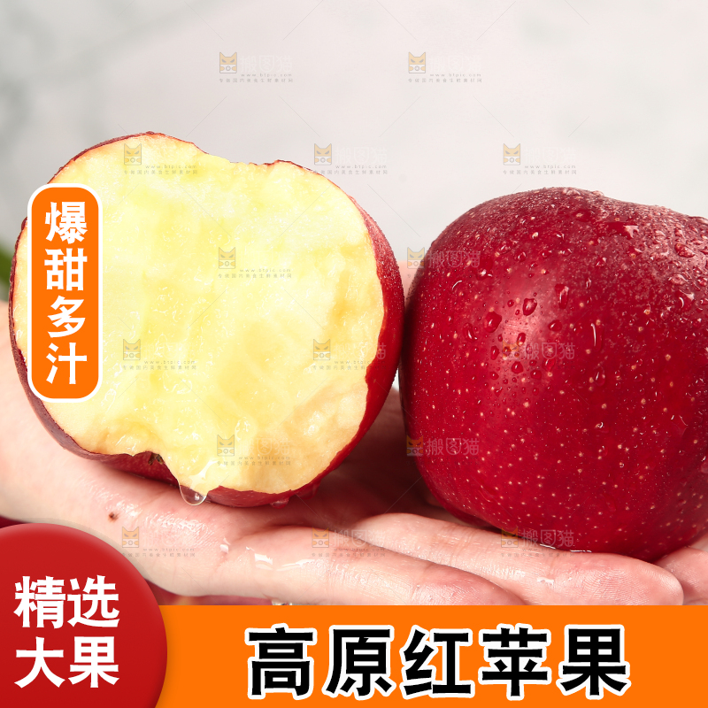 浅底上的秦冠苹果