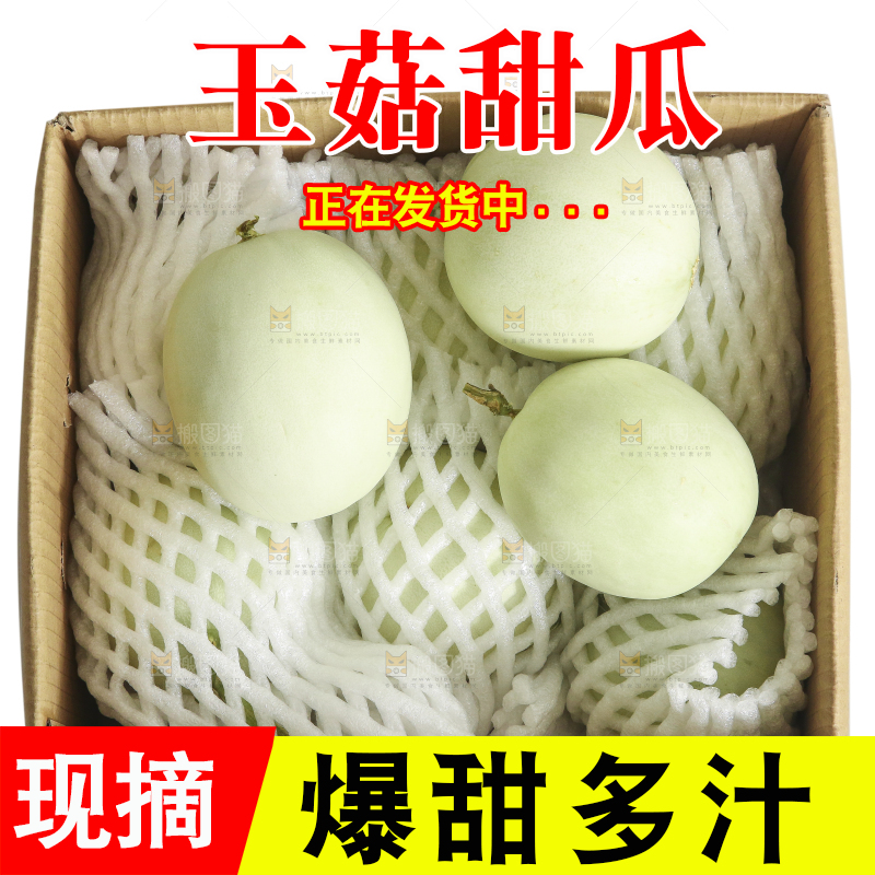 白底上的玉菇甜瓜