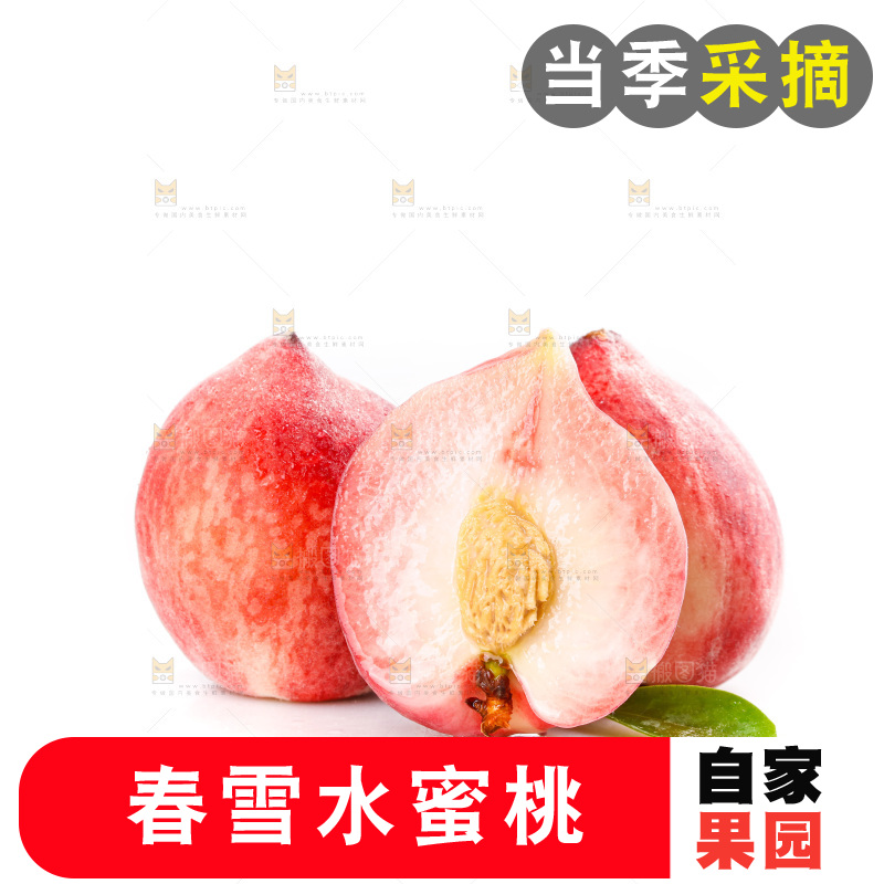 白底上放着春雪水蜜桃