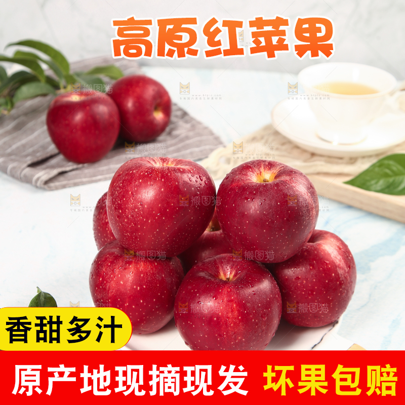 浅底上的秦冠苹果
