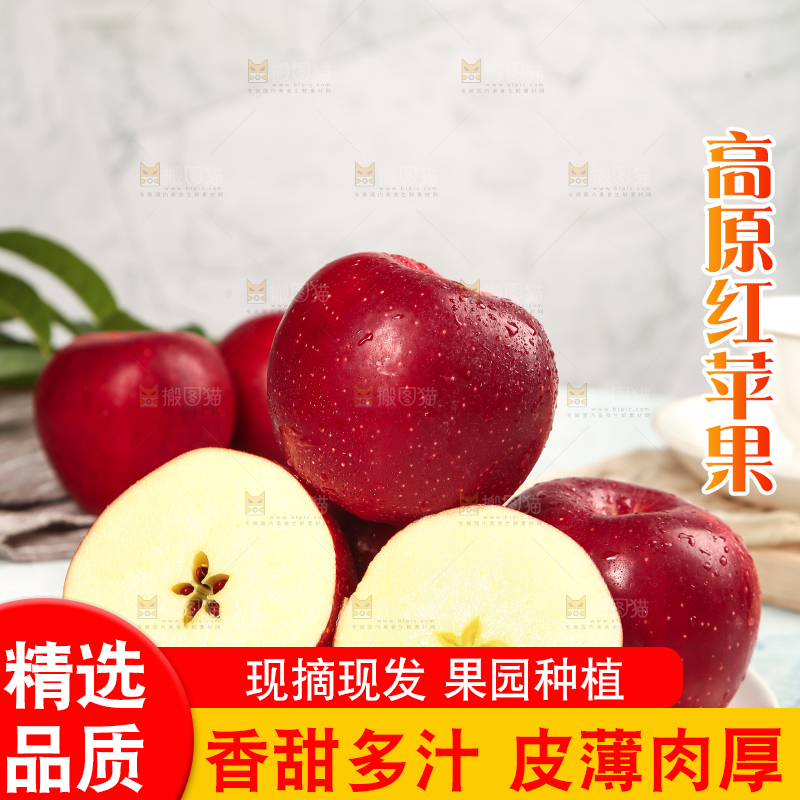 浅底上的秦冠苹果