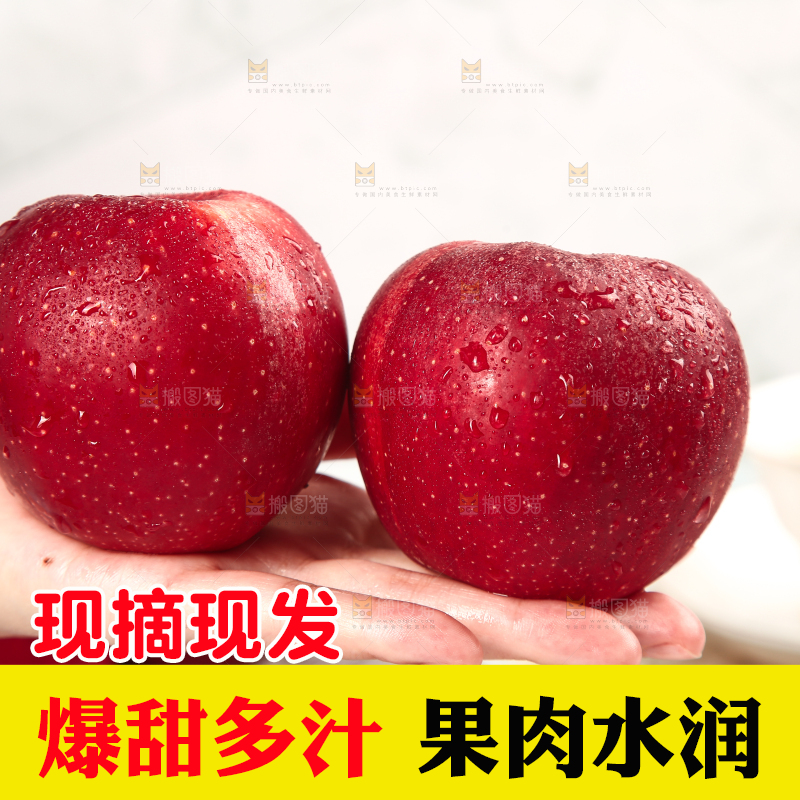 浅底上的秦冠苹果