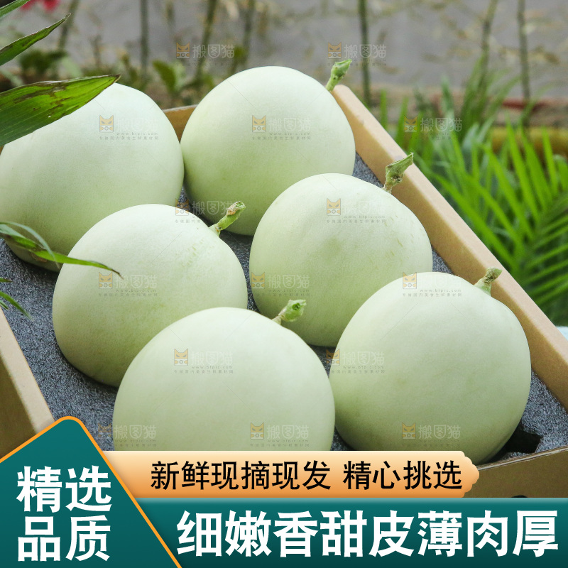 手里拿着玉菇甜瓜
