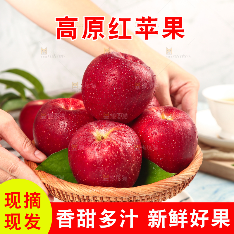 浅底上的秦冠苹果