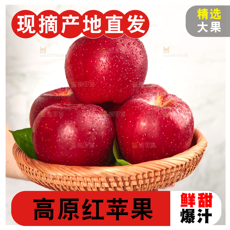 浅底上的秦冠苹果