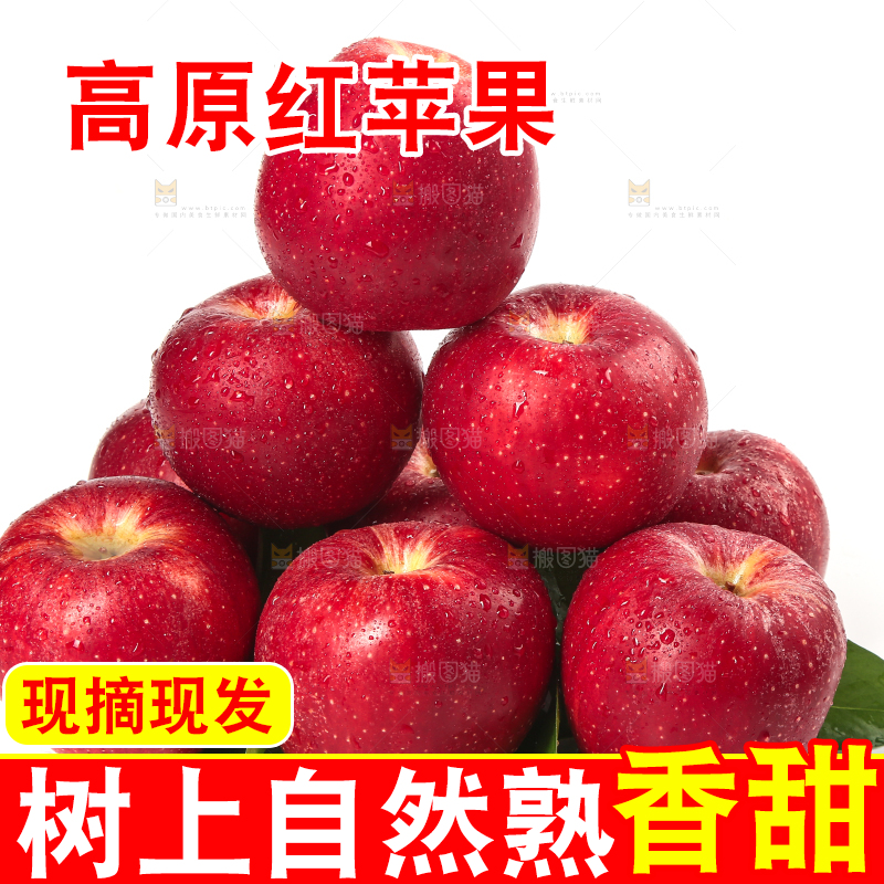 白底上的秦冠苹果