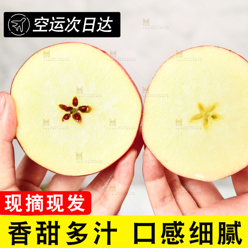 浅底上的秦冠苹果