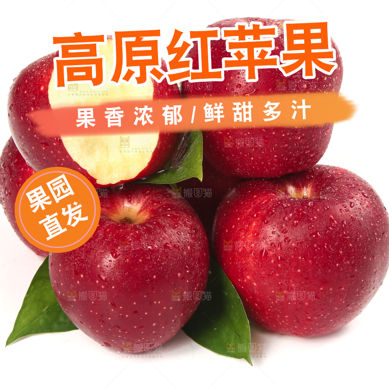 白底上的秦冠苹果
