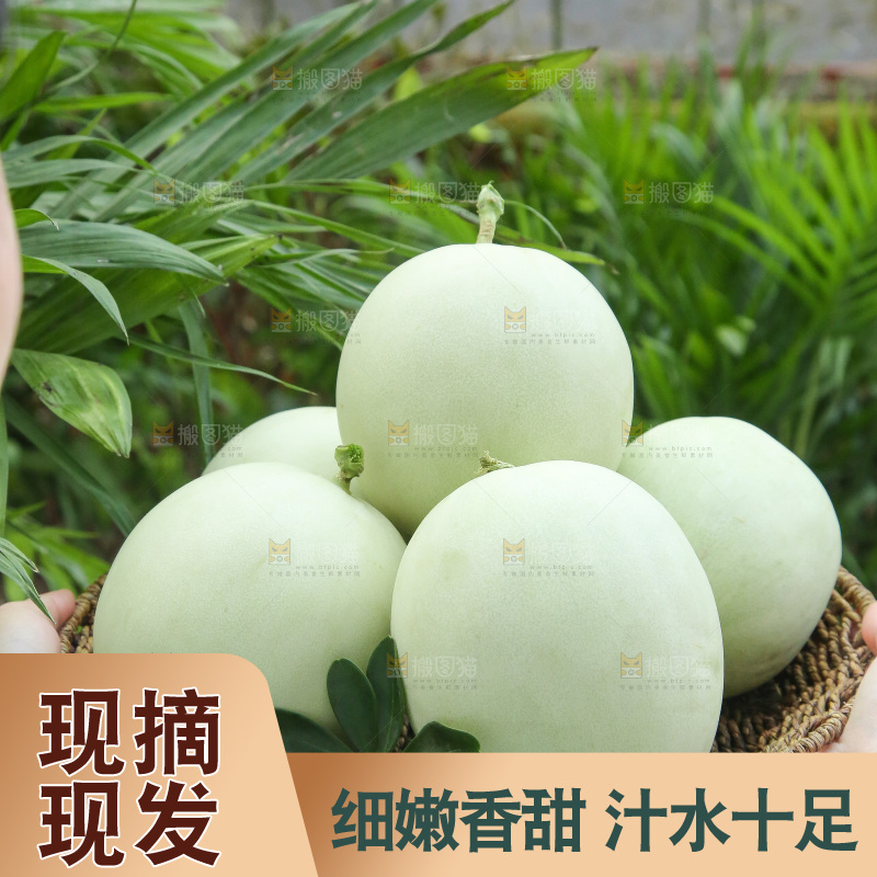 手里拿着玉菇甜瓜