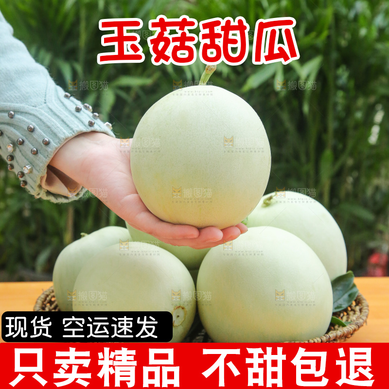 手里拿着玉菇甜瓜