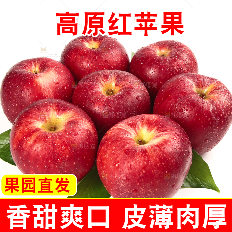 白底上的秦冠苹果