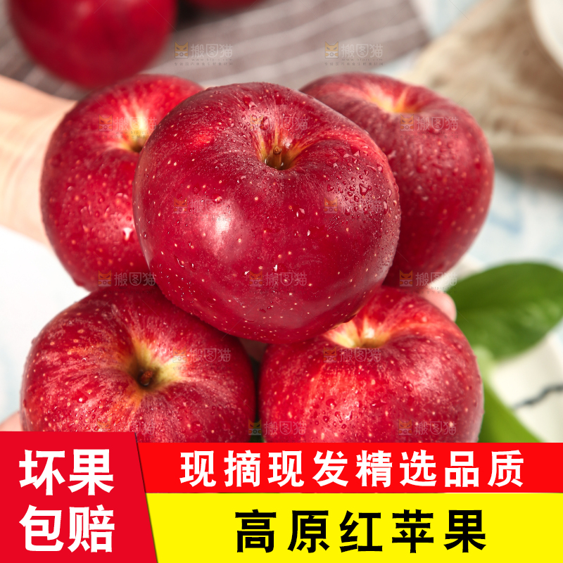 浅底上的秦冠苹果