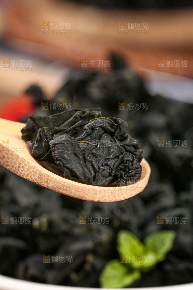 深底上的裙带菜