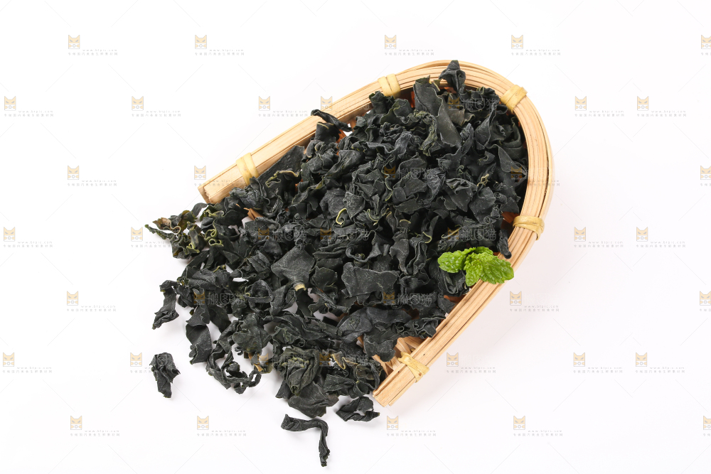 白底上的裙带菜