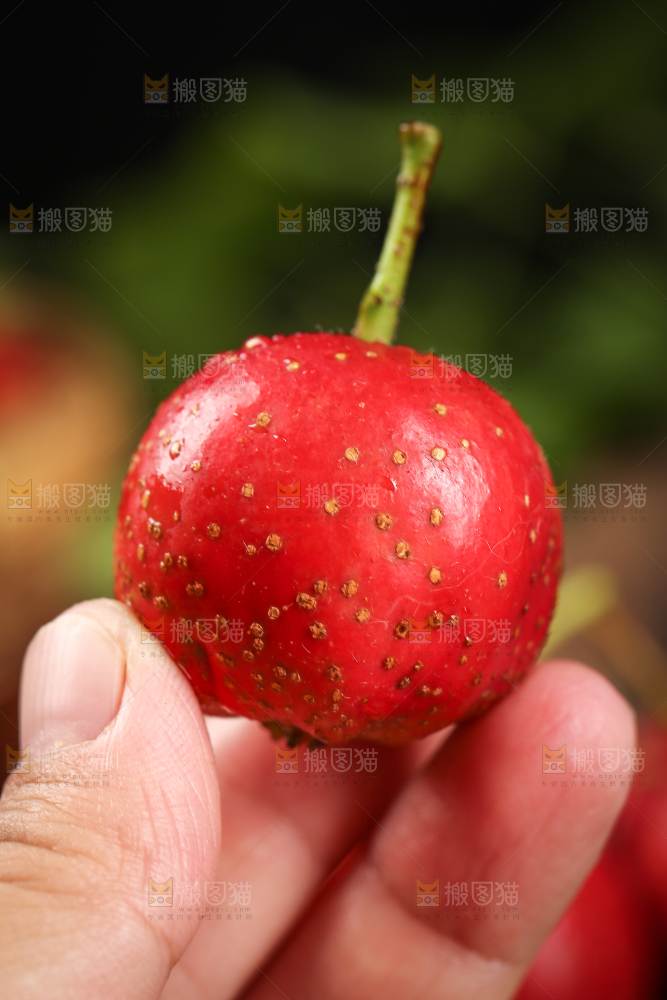 深底上的新鲜山楂