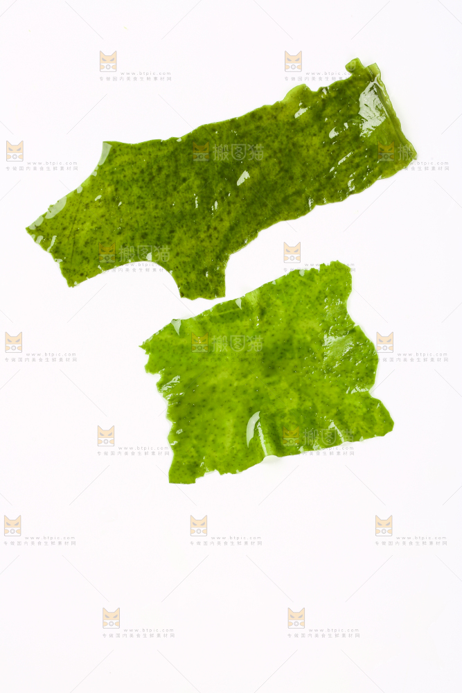 白底上的裙带菜