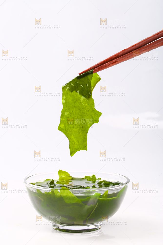 白底上的裙带菜