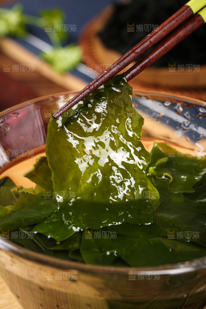 深底上的裙带菜