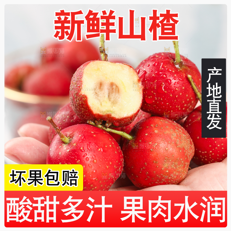 浅底上的新鲜山楂