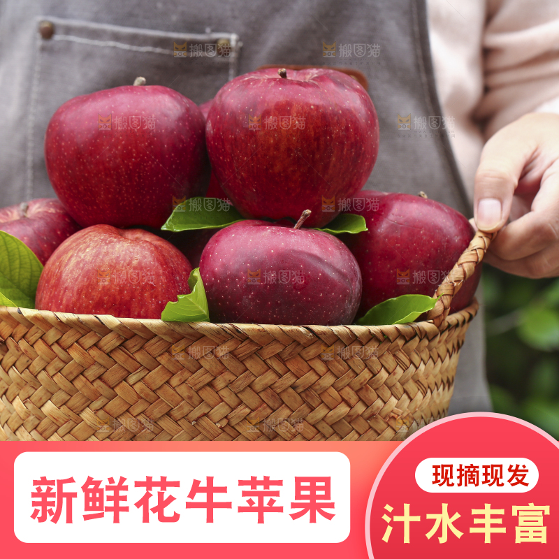 手里拿着花牛苹果