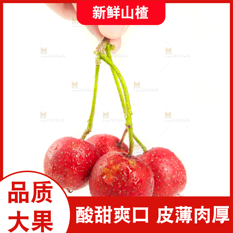 白底上的新鲜山楂