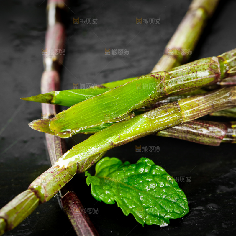 深底上的石斛鲜条