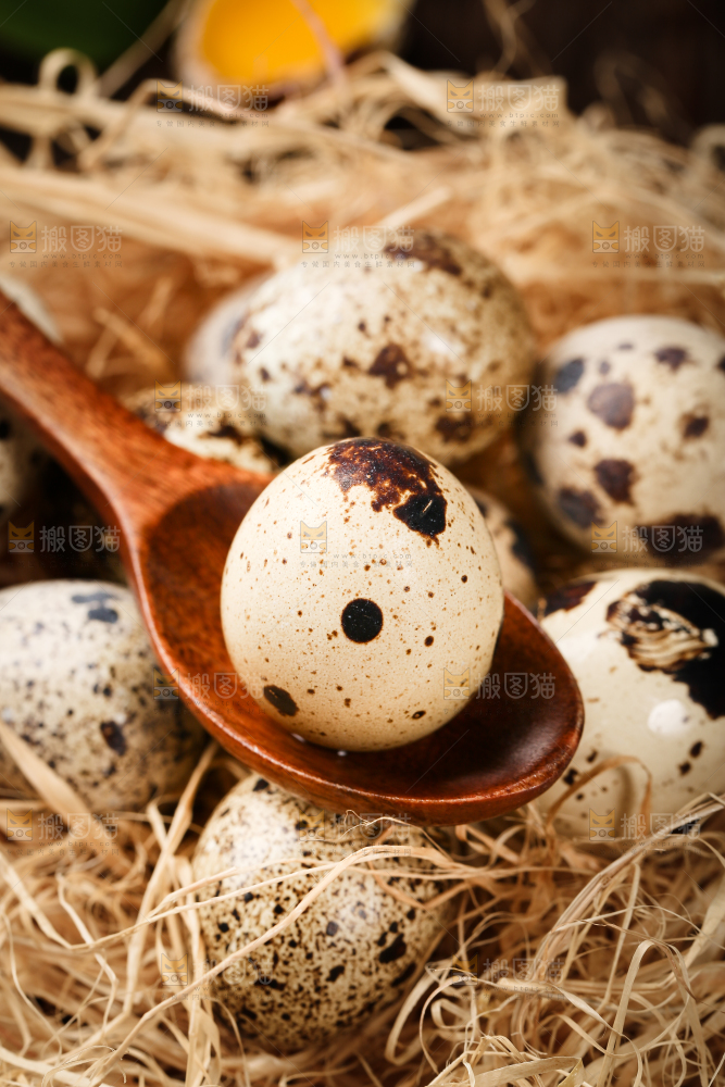 深底上的新鲜鹌鹑蛋
