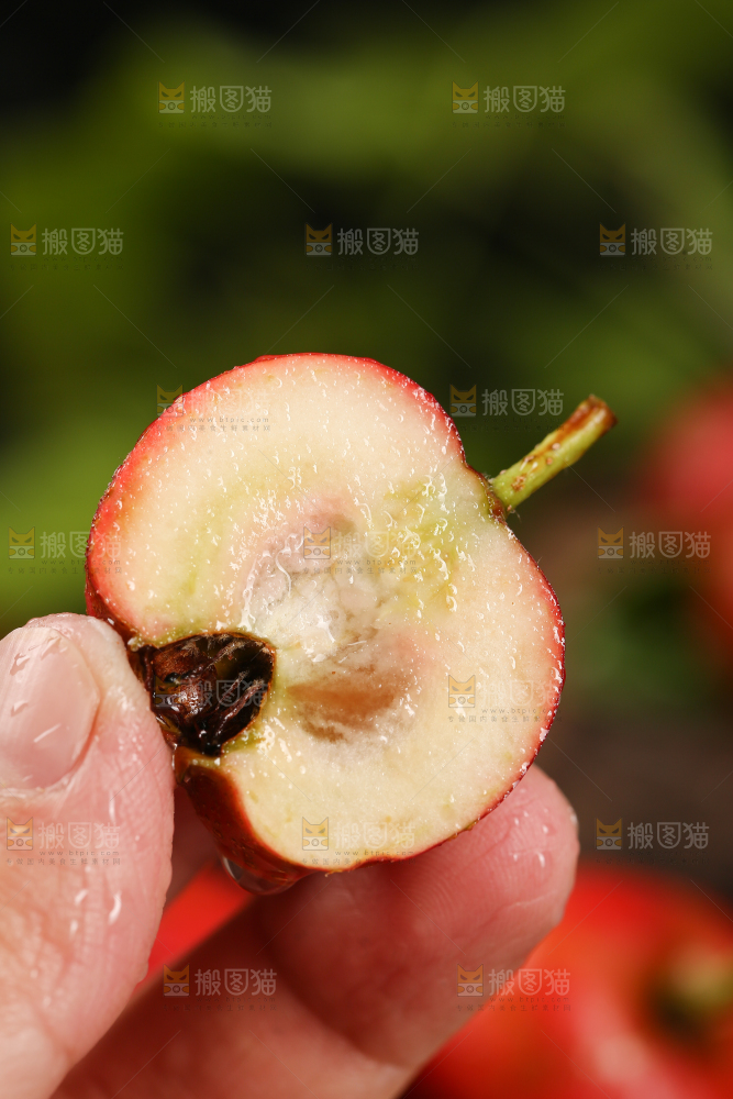 深底上的新鲜山楂