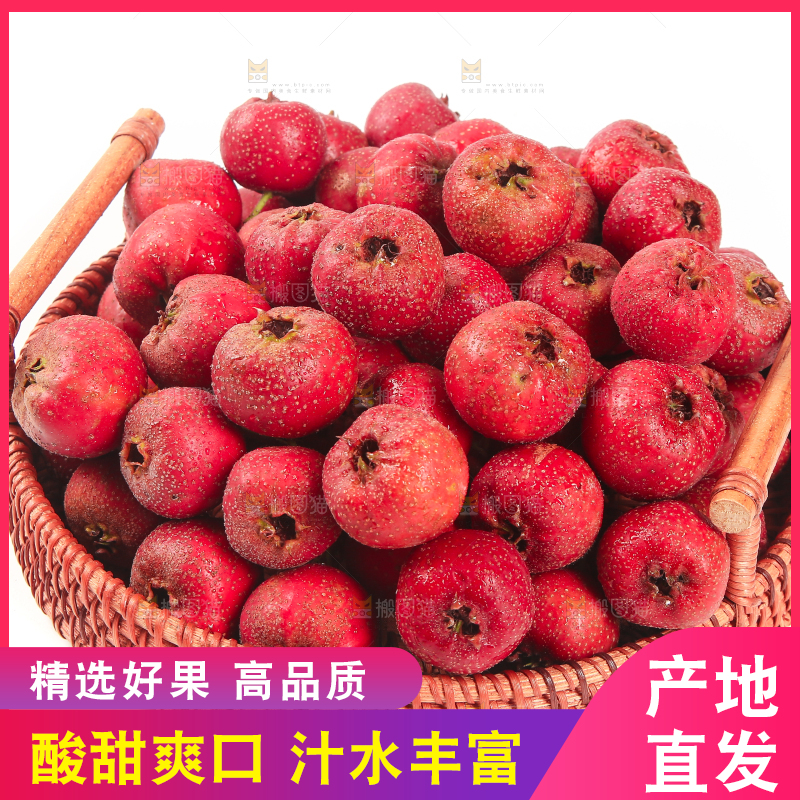 白底上的新鲜山楂