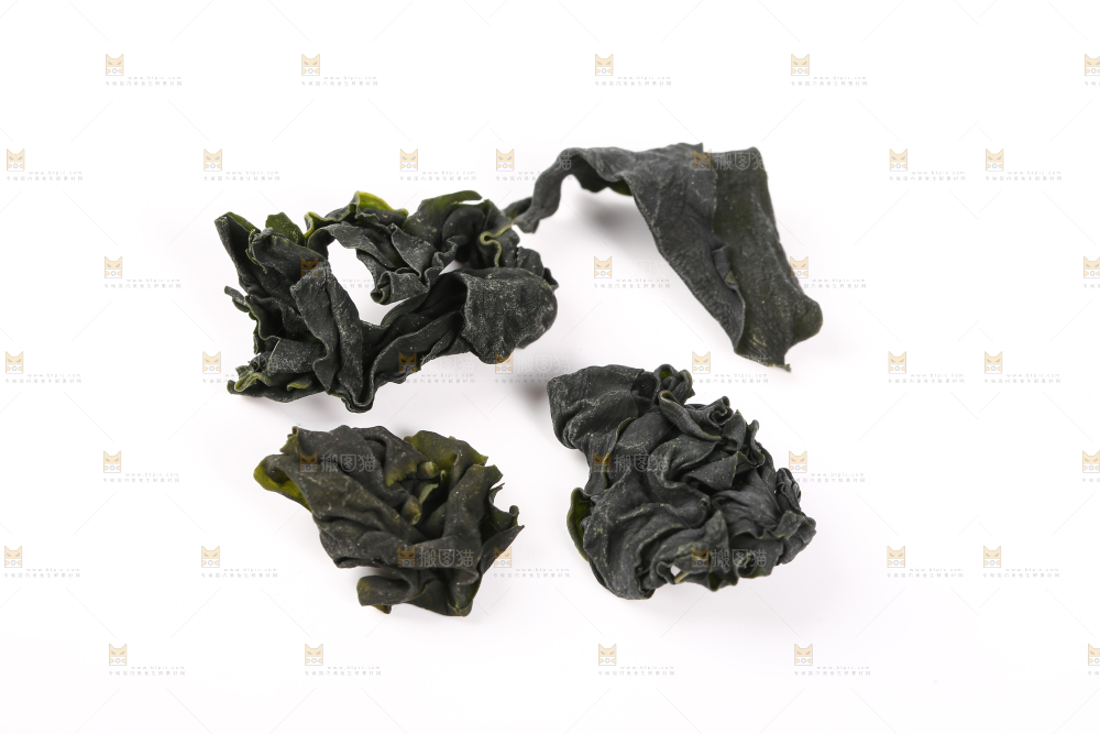 白底上的裙带菜