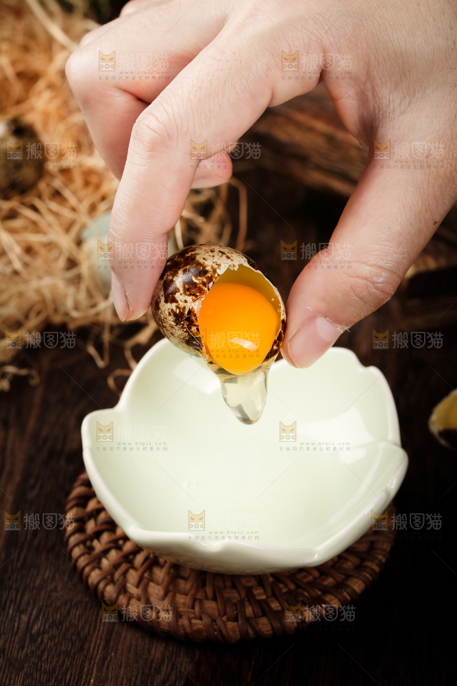 深底上的新鲜鹌鹑蛋