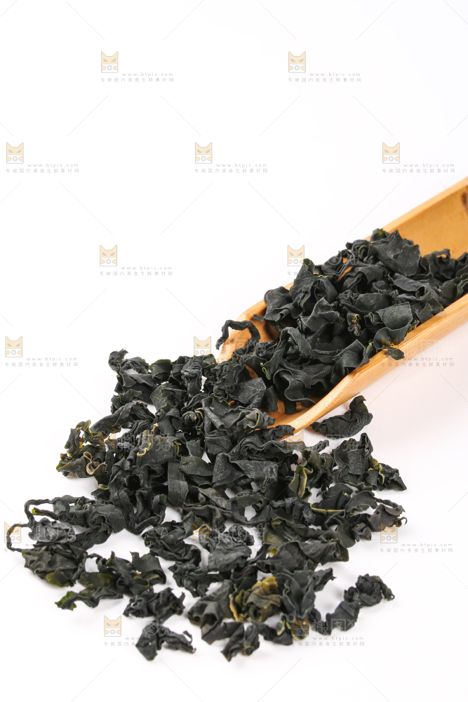 白底上的裙带菜